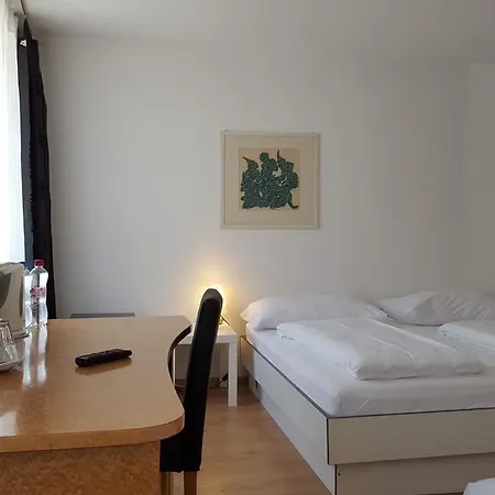 Hotel Spalenbrunnen & Restaurant Center 3*