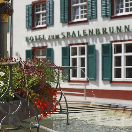Spalenbrunnen & Restaurant Center Hotel Basel
